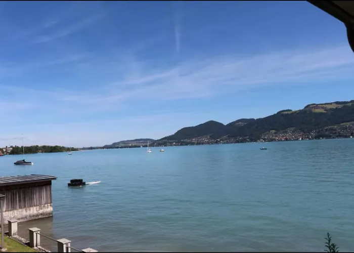 Wunderschoene Mit Privatstrand Spiez